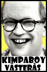 Användarvisningsbild